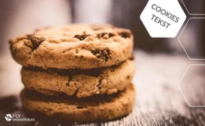 Cookies tekst website
