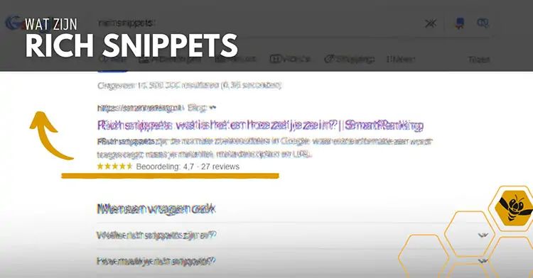 Wat zijn Rich Snippets?